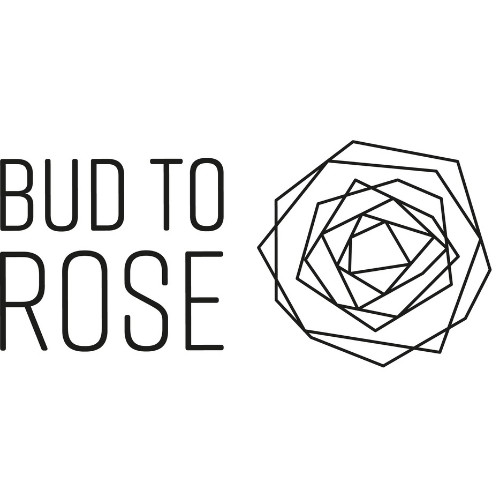 Bud to rose